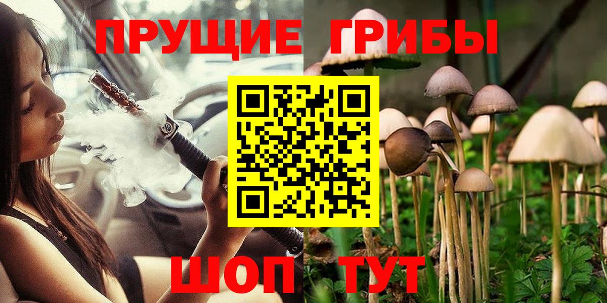 Псилоцибиновые грибы GOLDEN TEACHER  Вход с VPN  Гулькевичи  Псилоцибиновые грибы Psilocybe 
