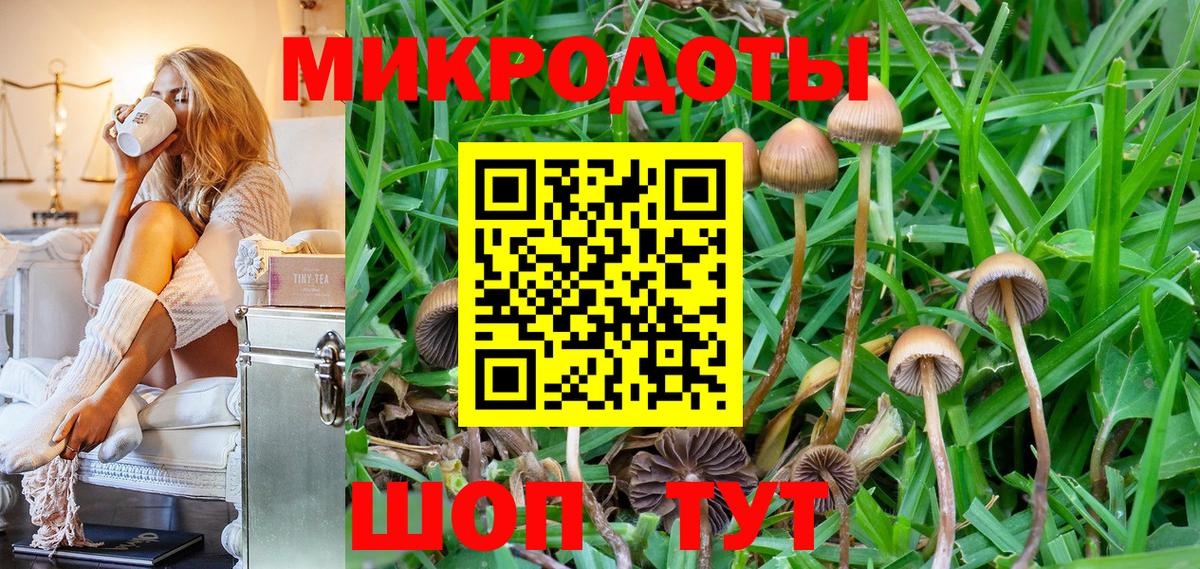Псилоцибиновые грибы MAGIC MUSHROOMS Гулькевичи